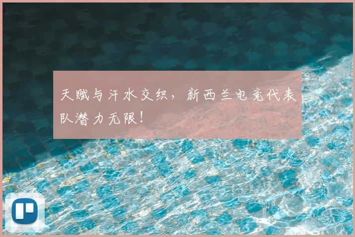 天赋与汗水交织,新西兰电竞代表队潜力无限!